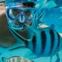 Paul Gauguin Cruises: Moana Explorer Program