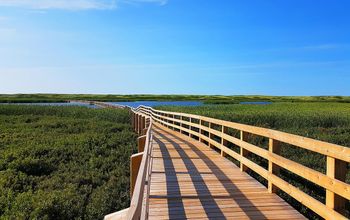 Boardwalk in PEI