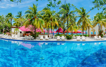 Grand Oasis Palm