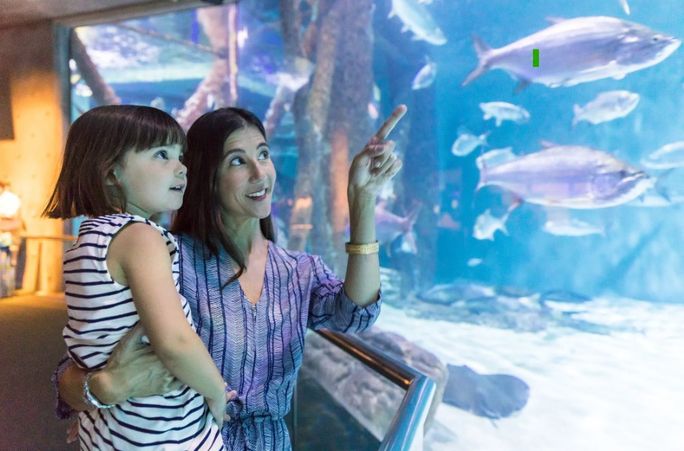 Family at Audubon Aquarium