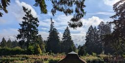 International Rose Test Garden, Portland, Oregon