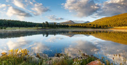 Ted Turner Reserves, vermejo, new mexico, conservation