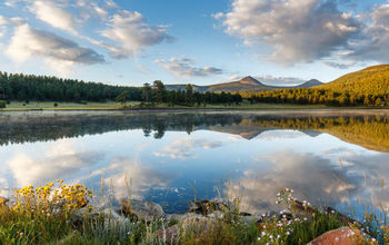 Ted Turner Reserves, vermejo, new mexico, conservation