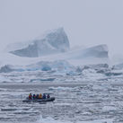 Lazarev Bay