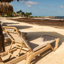 Sargassum seaweed in Mexico.