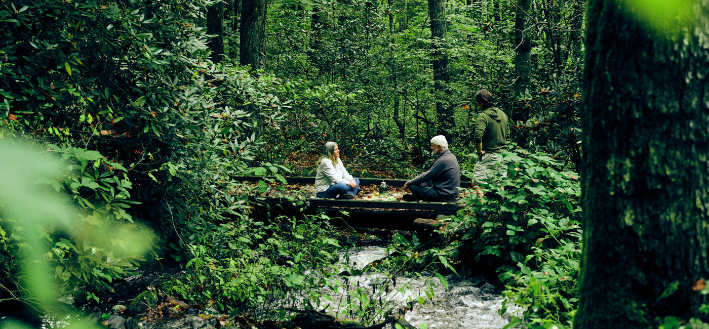 Forest Bathing While on Vacation