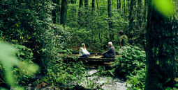 Forest bathing experince