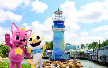Baby Shark and Pinkfong are making their way to SeaWorld's trio of parks.