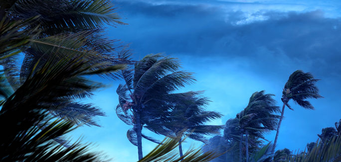 High winds from a hurricane in Caribbean.