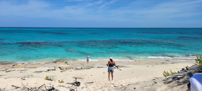 Strand auf Salz Cay, Türken und Caicos Strand auf Salz Cay, Türken und Caicos