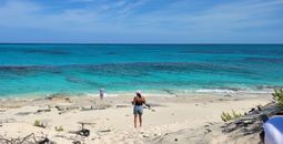 Beach on Salt Cay, Turks and Caicos