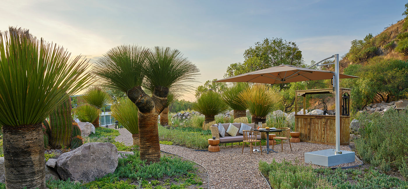Image: Live Aqua San Miguel de Allende (Photo Credit: Fiesta Americana Travelty Collection)