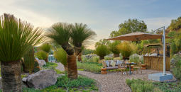 Live Aqua San Miguel de Allende