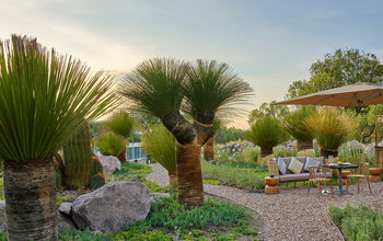 Live Aqua San Miguel de Allende