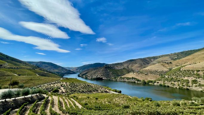 Must-Try Foods and Drinks in Portugal

Wineries in the Douro River Valley