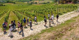 A new survey from The Tour Guy finds that 85.4% of travelers opt for day trips when visiting a destination.