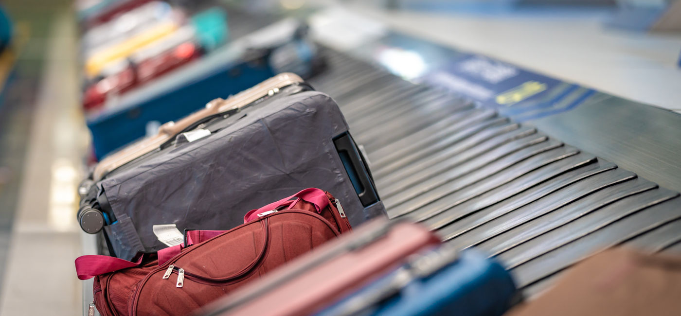 Delta sales checked baggage