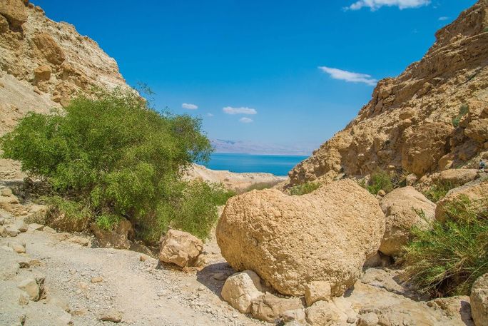 Ein Gedi Nature Reserve Ein Gedi Nature Reserve