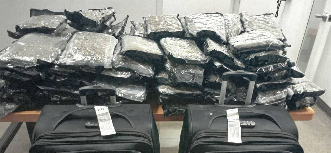 Image: Deux valises contenant 56 kg de cannabis ont été saisies le 10 juillet (Source: RCMP)