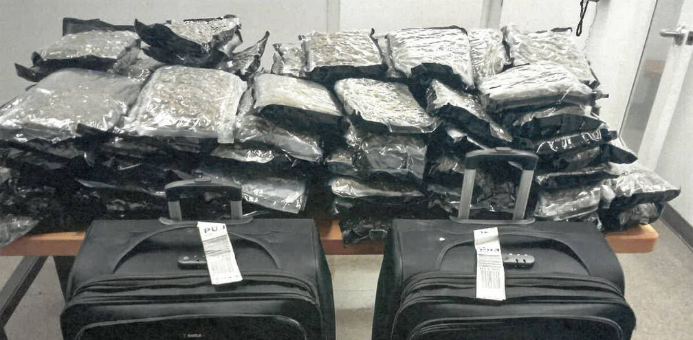 Two suitcases containing 56 kg of cannabis were seized on July 10.