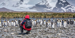 South Georgia, Abercrombie & Kent, Antarctica, Antarctica expedition cruises