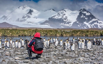 South Georgia, Abercrombie & Kent, Antarctica, Antarctica expedition cruises