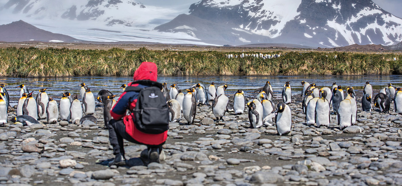 Image: A guest on an Abercrombie & Kent expedition cruise to Antarctica crouches near penguins on Salisbury Plain in South Georgia. (photo via Abercrombie & Kent) (Photo Credit: (photo via Abercrombie & Kent))
