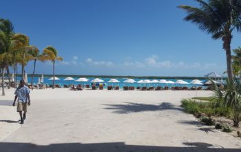 Turks and Caicos shoreline