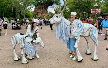 Merry Menagerie at Animal Kingdom.