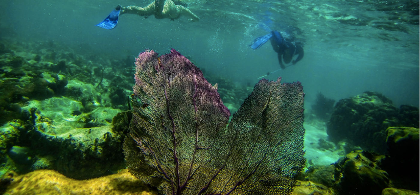Image: Snorkeling on the reefs of Belize is one of the most recommended activities for visitors. (Photo via GAdventures).