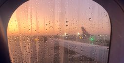 rainy window