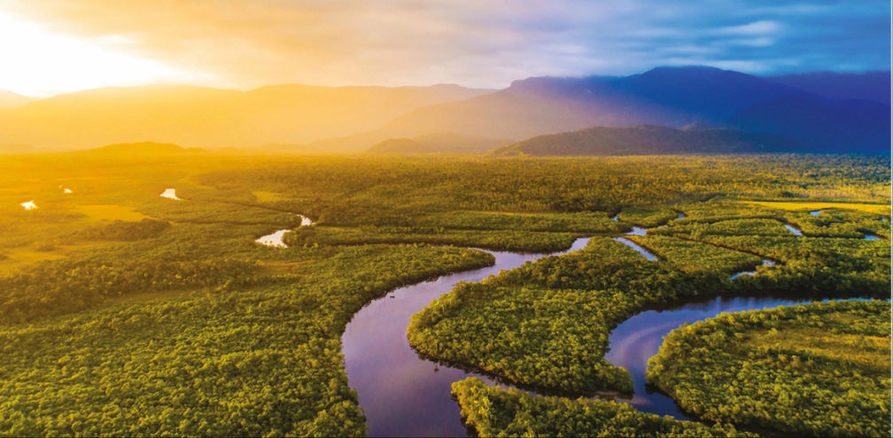 The Amazon River