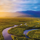 The Amazon River