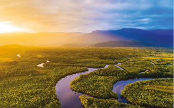 The Amazon River