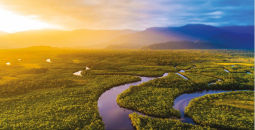 The Amazon River