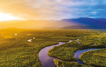 The Amazon River