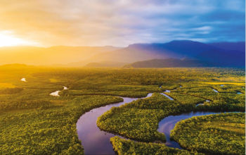The Amazon River
