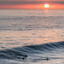 Surfing in Ensenada