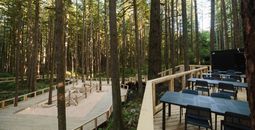 Squamish Canyon