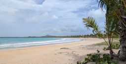 Viva at Miches beach