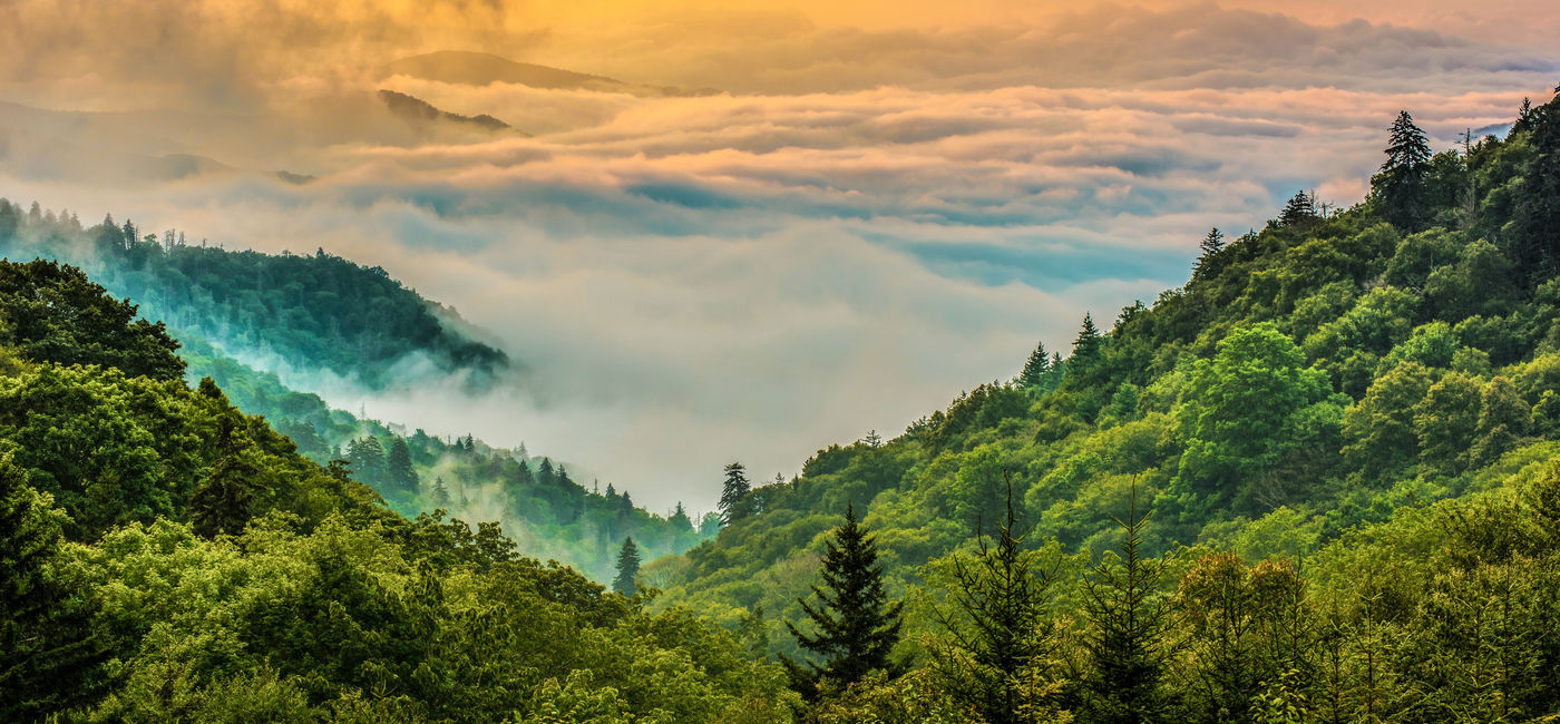 Image: Fog rising in the morning at Great Smoky Mountains National Park in Tennessee. (Photo Credit: larryknupp / Adobe Stock)