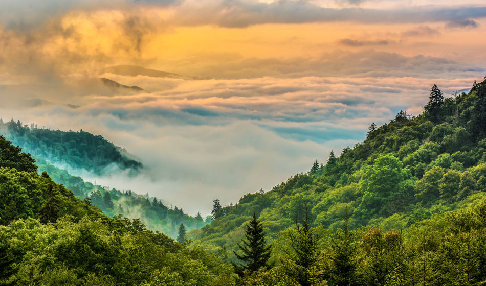 Great Smoky Mountains National Park, tennessee, easter, spring travel, spring break, adobe stock