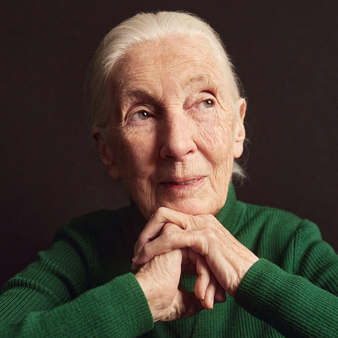 Dr. Jane Goodall