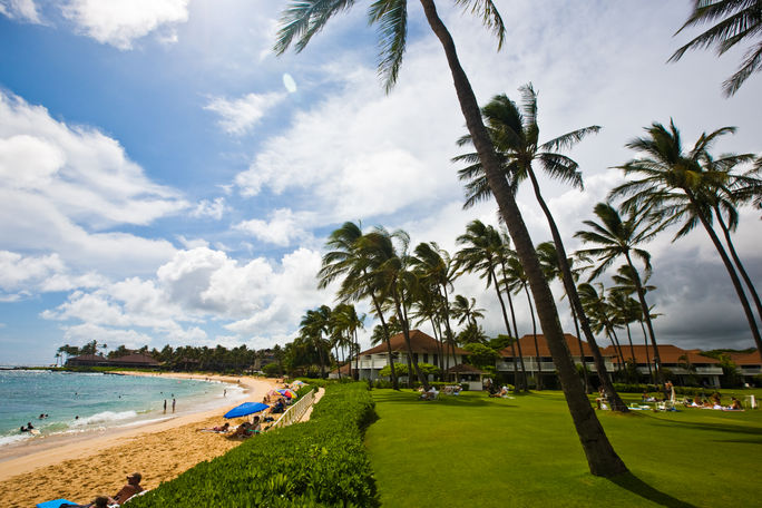 Poipu Beach grassy area with palm trees near beach with ocean waves