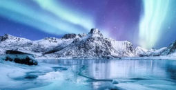 Experience the Mesmerizing Spectacle of the Northern Lights for Yourself