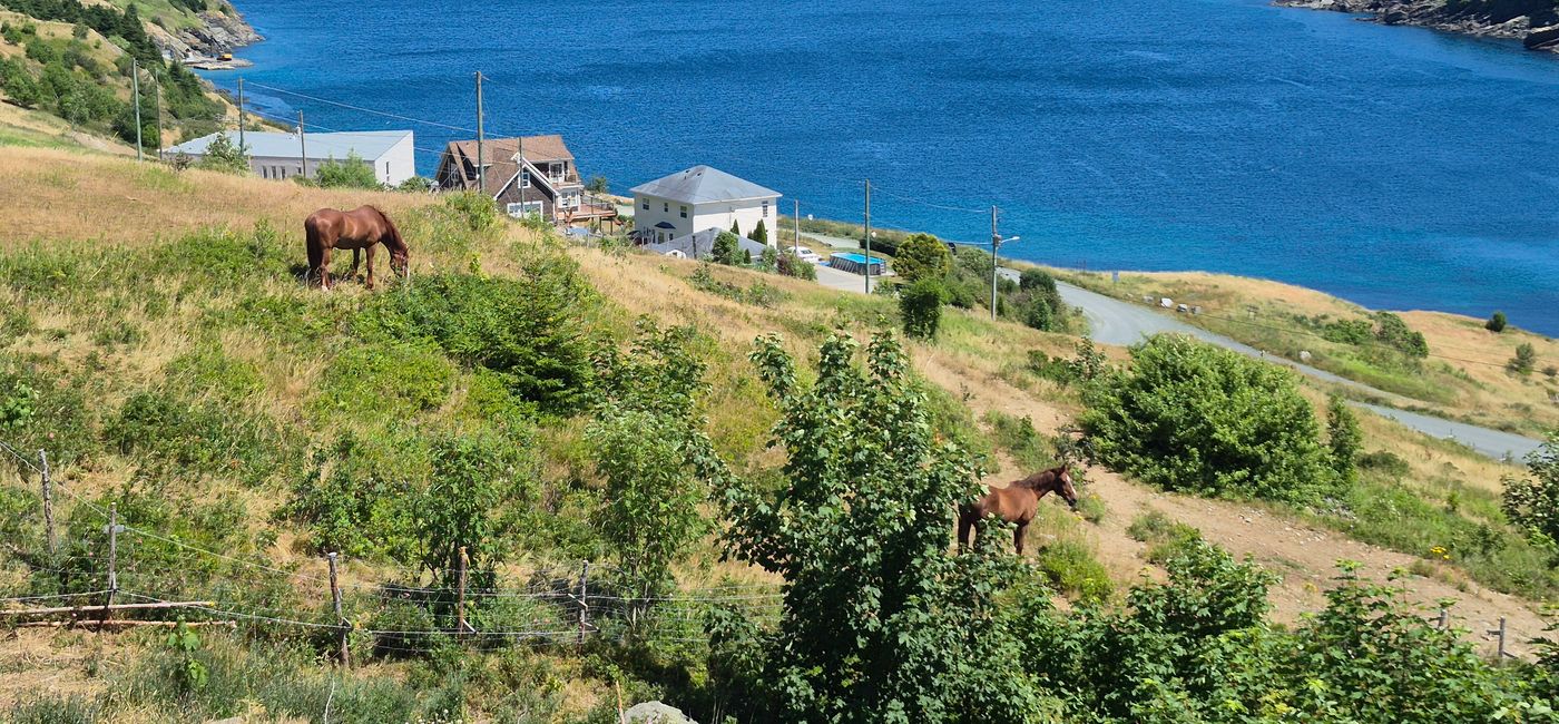 Image: Post Taphouse patio view. Torbay, Newfoundland (Photo Credit: Jason Summers)
