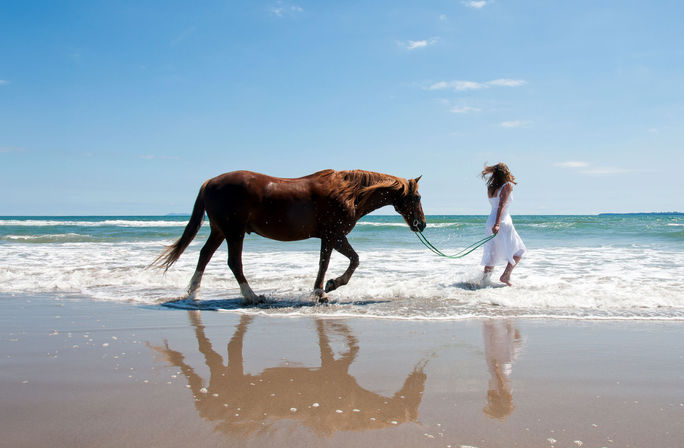 Horseback riding Horseback riding