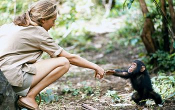 G Adventures, Jane goodall, wildlife conservation