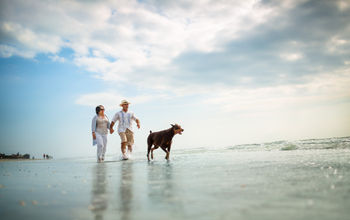 A couple and their dog at the beach