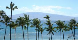 Take a Hawaiian Adventure with Collette